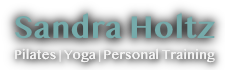 Sandra Holtz Logo